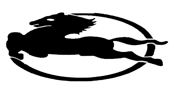 مؤسسة حميد حامد الصاعدي الحربي البيطرية